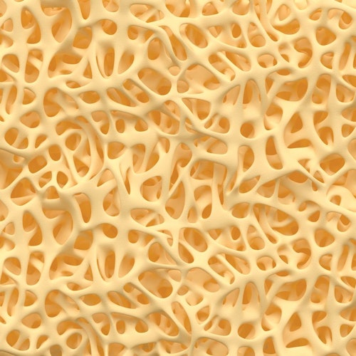 Illustration of microscopic appearance of bone